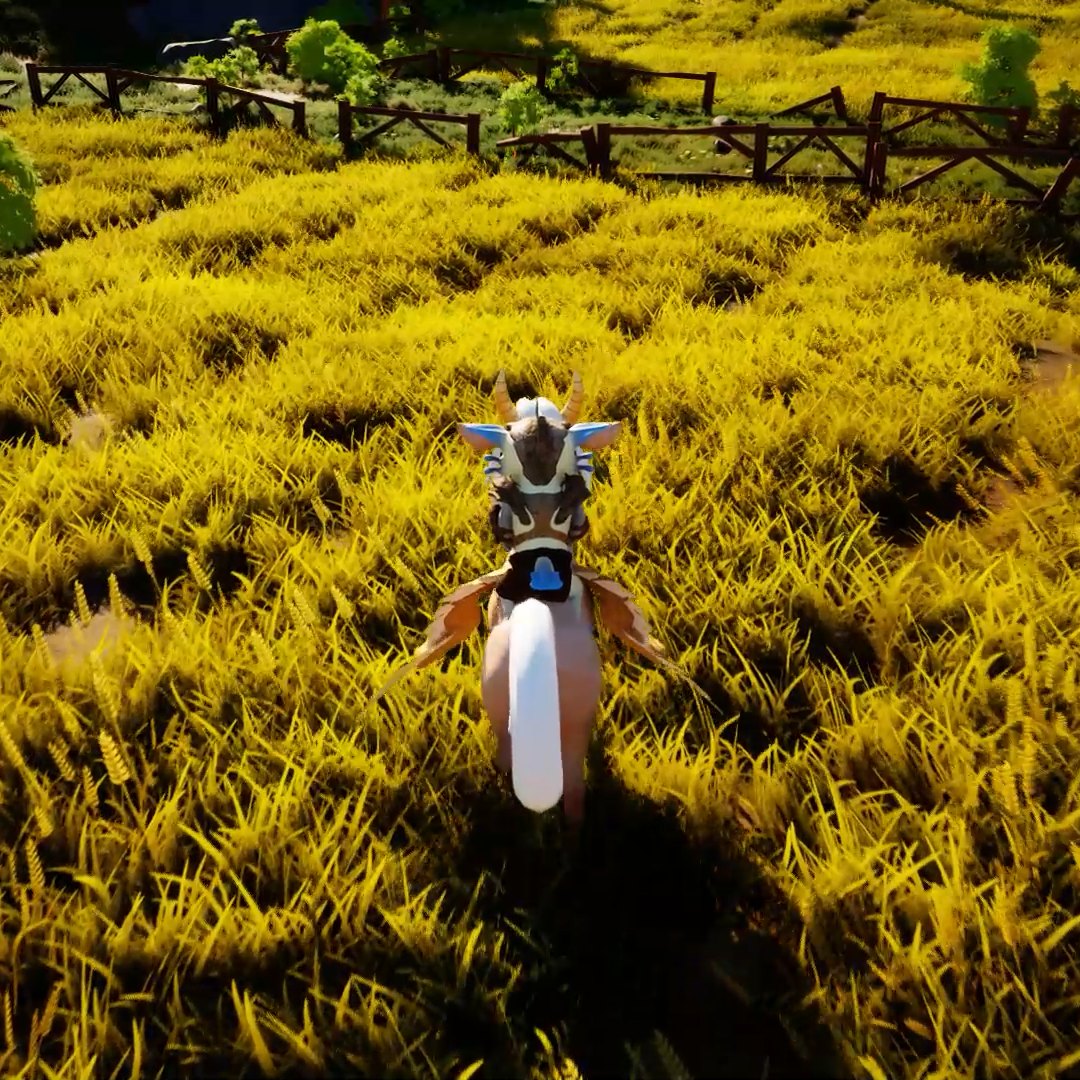 Riding through the golden fields